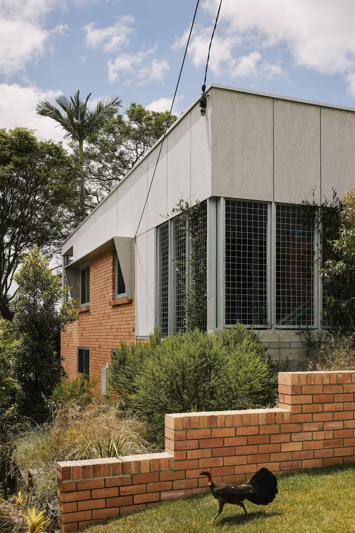 Beautiful modern house